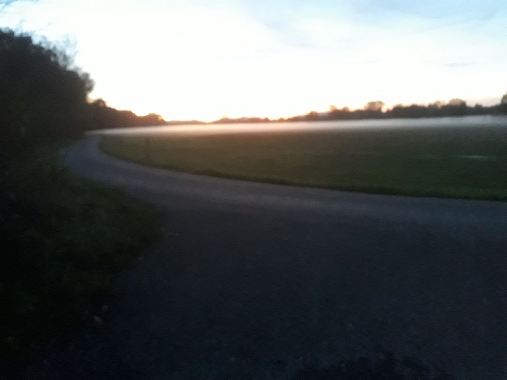 Heimweg1_klein.jpg