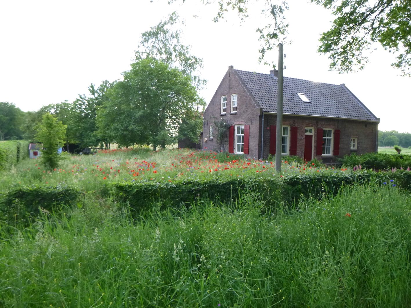 Helenavaart.JPG