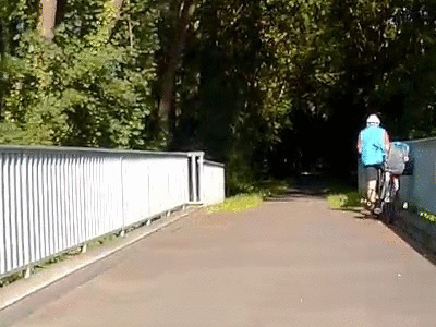helmcrop.gif