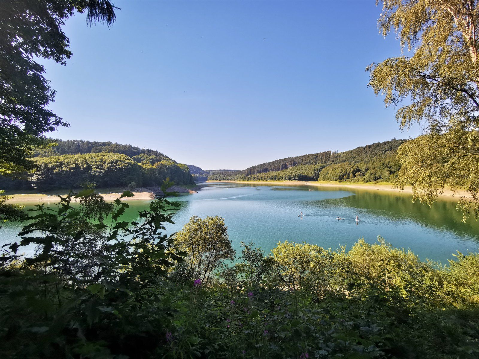 Hennesee.jpg