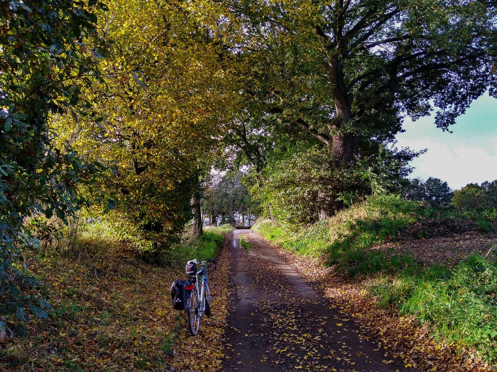 Herbst bei Etzenrade 2.jpg