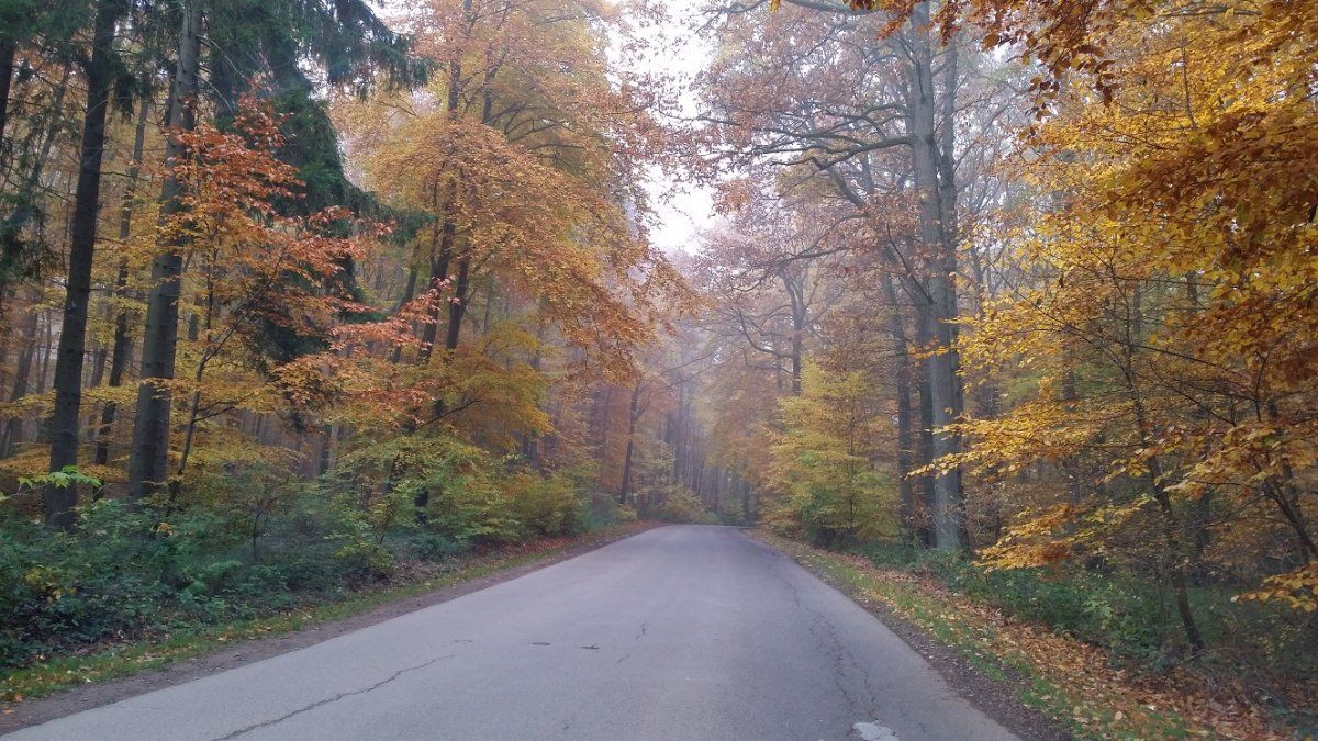 Herbst.jpg