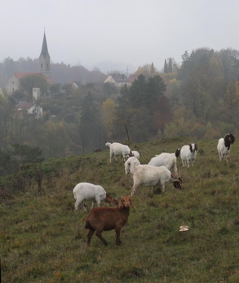 Herbstthuisbrunn.jpg
