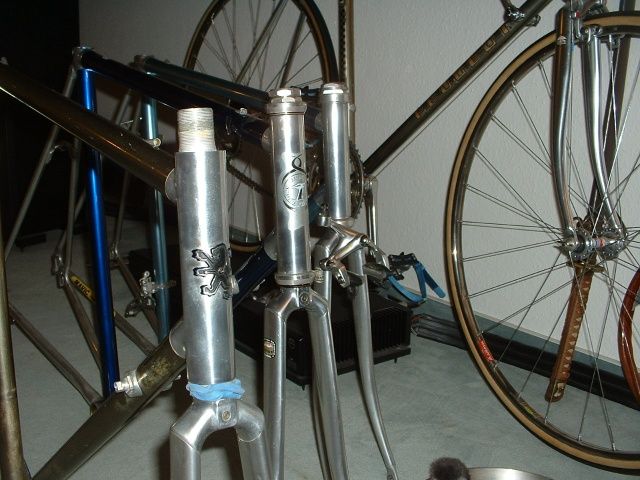 Herde4.jpg