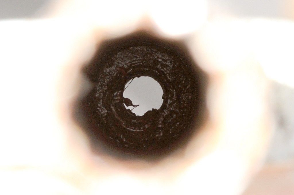 HJH_3670_small.jpg