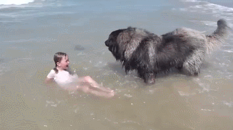 hm-gifdump-306-5.gif