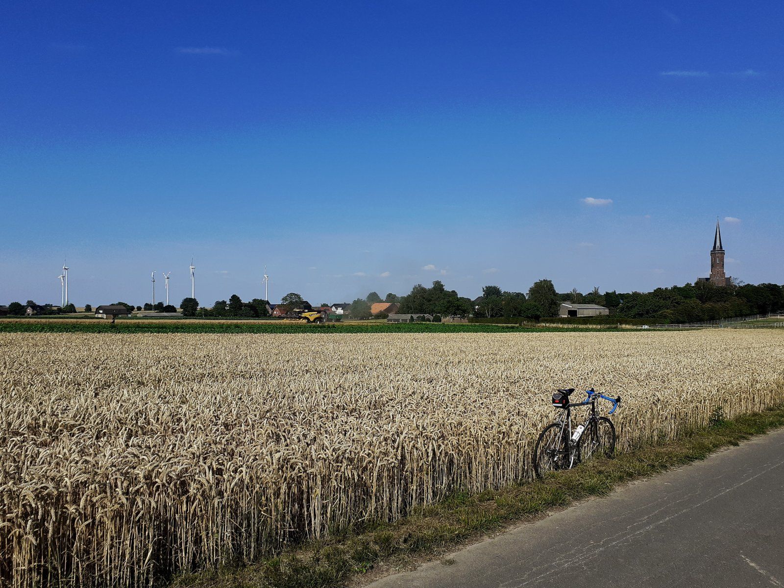 Hochsommer bei Braunsrath.jpg