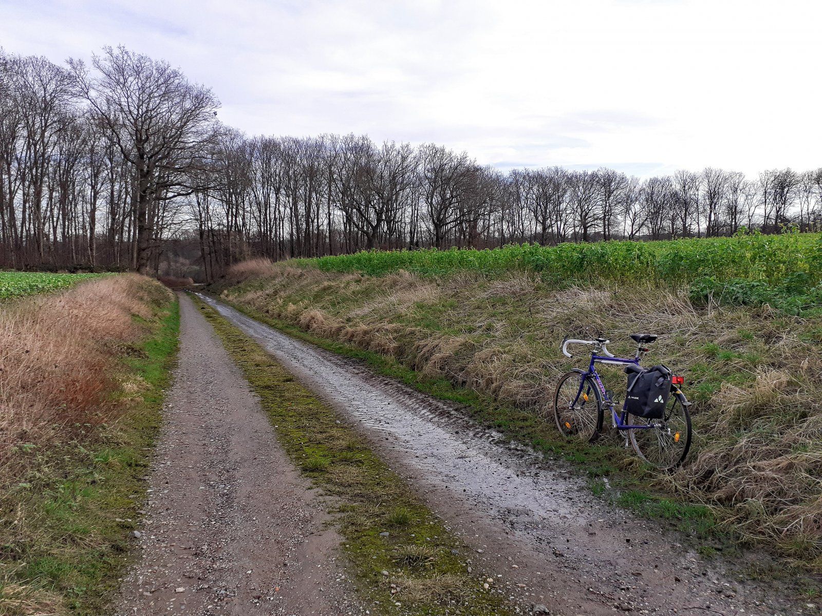 Hohlweg oberhalb Leerodt mit Quelle.jpg
