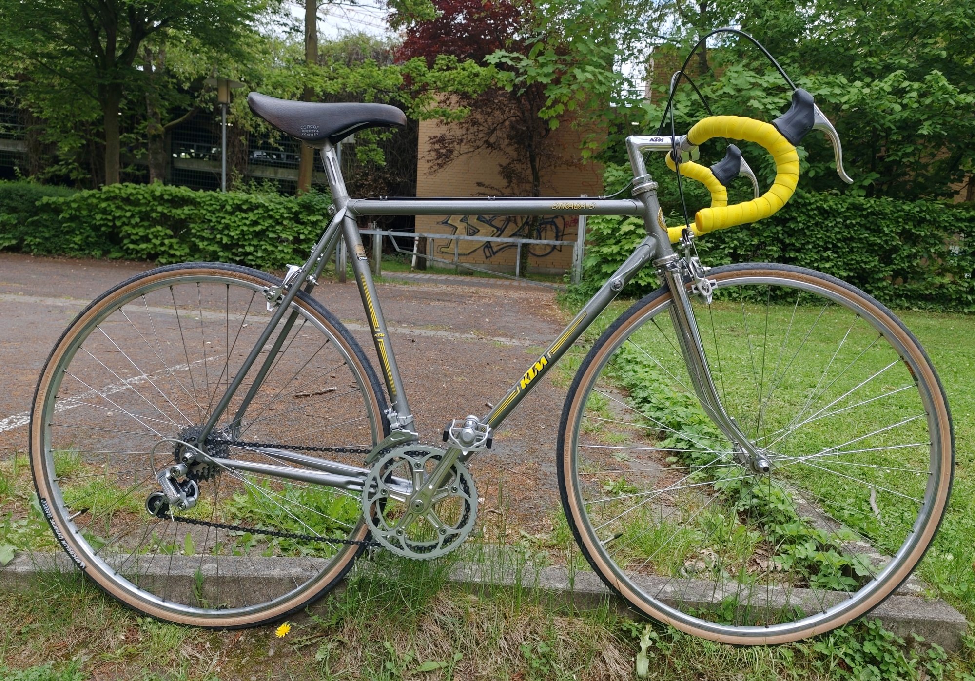 https___www.rennrad-news.de_forum_attachments_img_20250507_212533-jpg.1616652_.jpeg