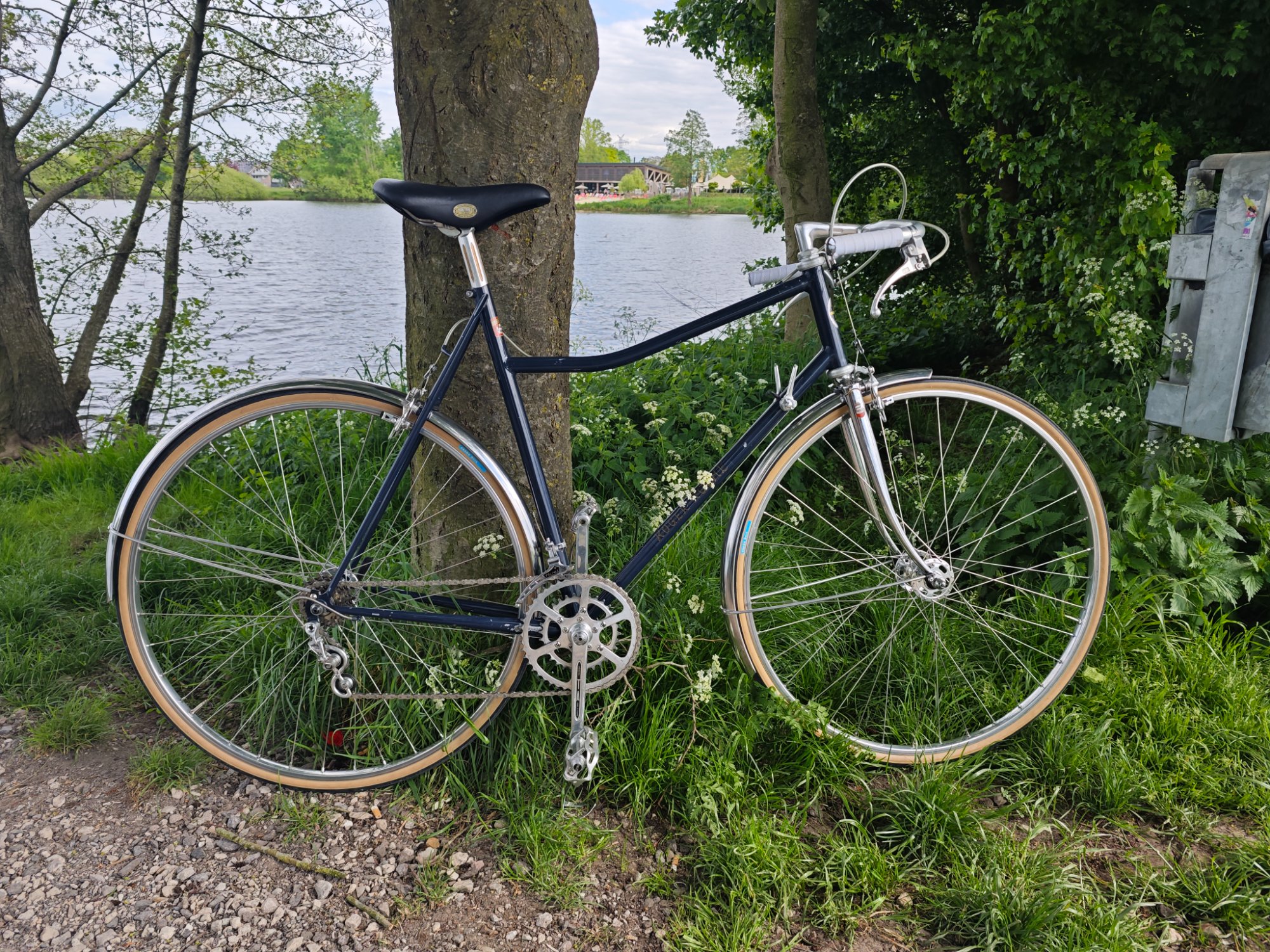 https___www.rennrad-news.de_forum_attachments_img_20250508_154438-jpg.1616958_.jpeg