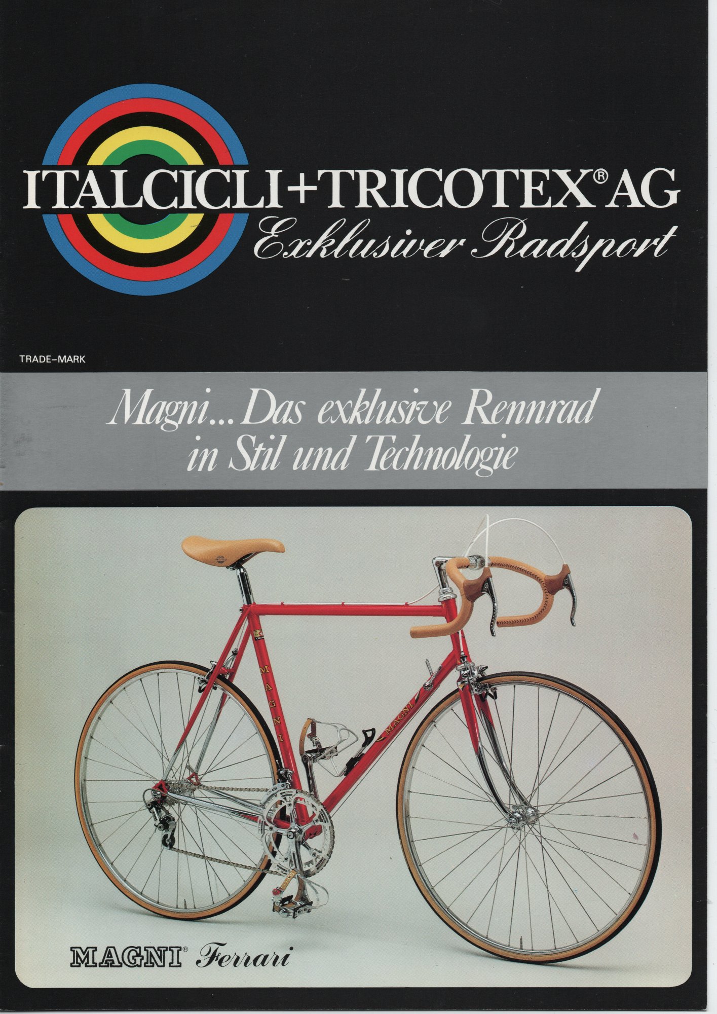 ICS Magni Katalog_001.jpeg