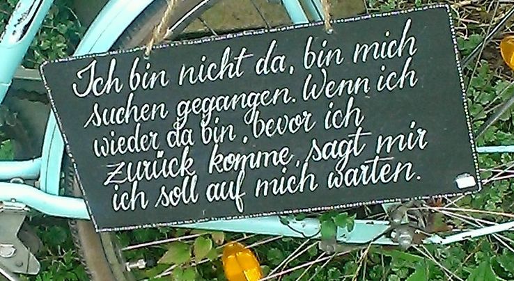IMAG0017_1_1.jpg
