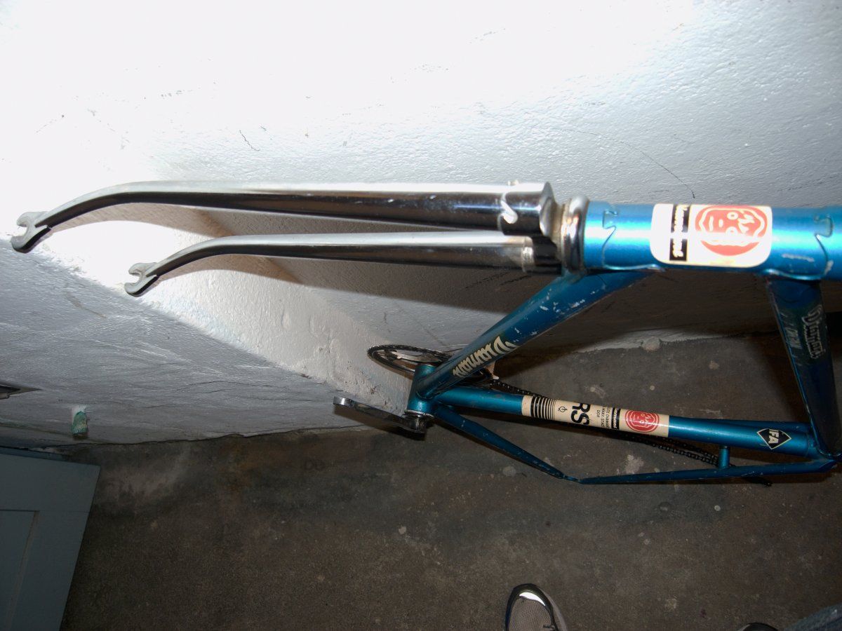IMAG0040.jpg