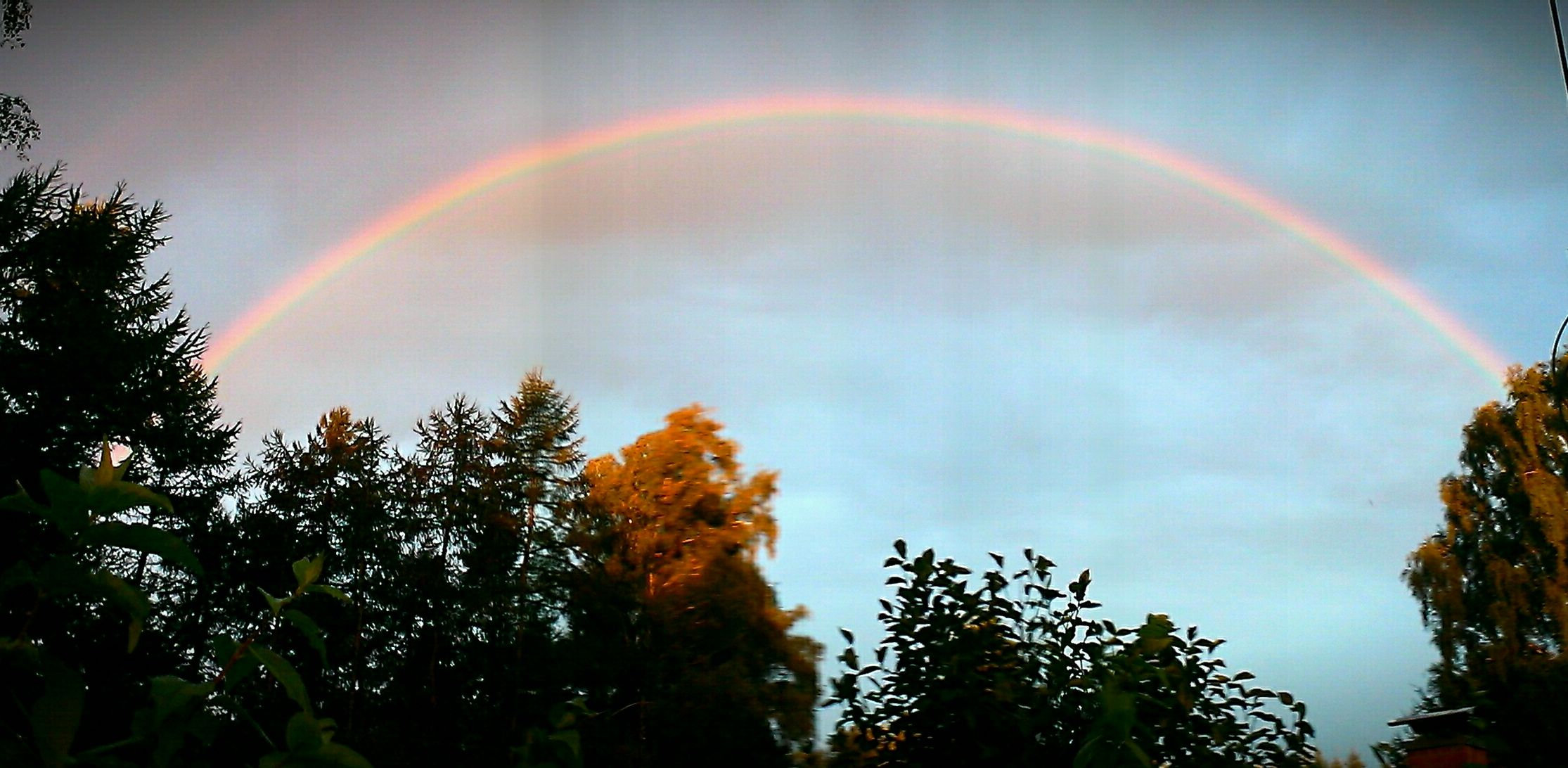 IMAG0080_1_1.jpg