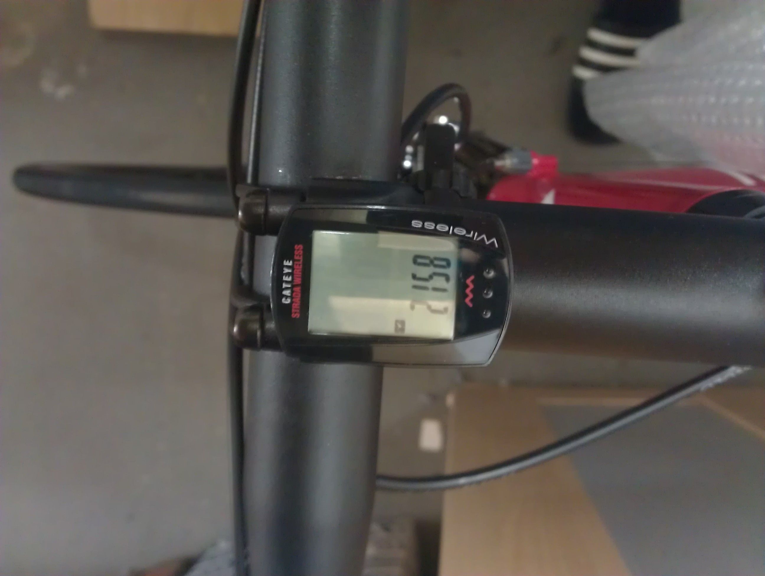 IMAG0201.jpg