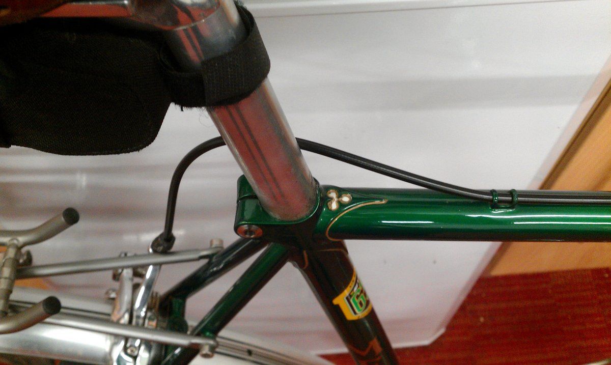 IMAG0420.jpg