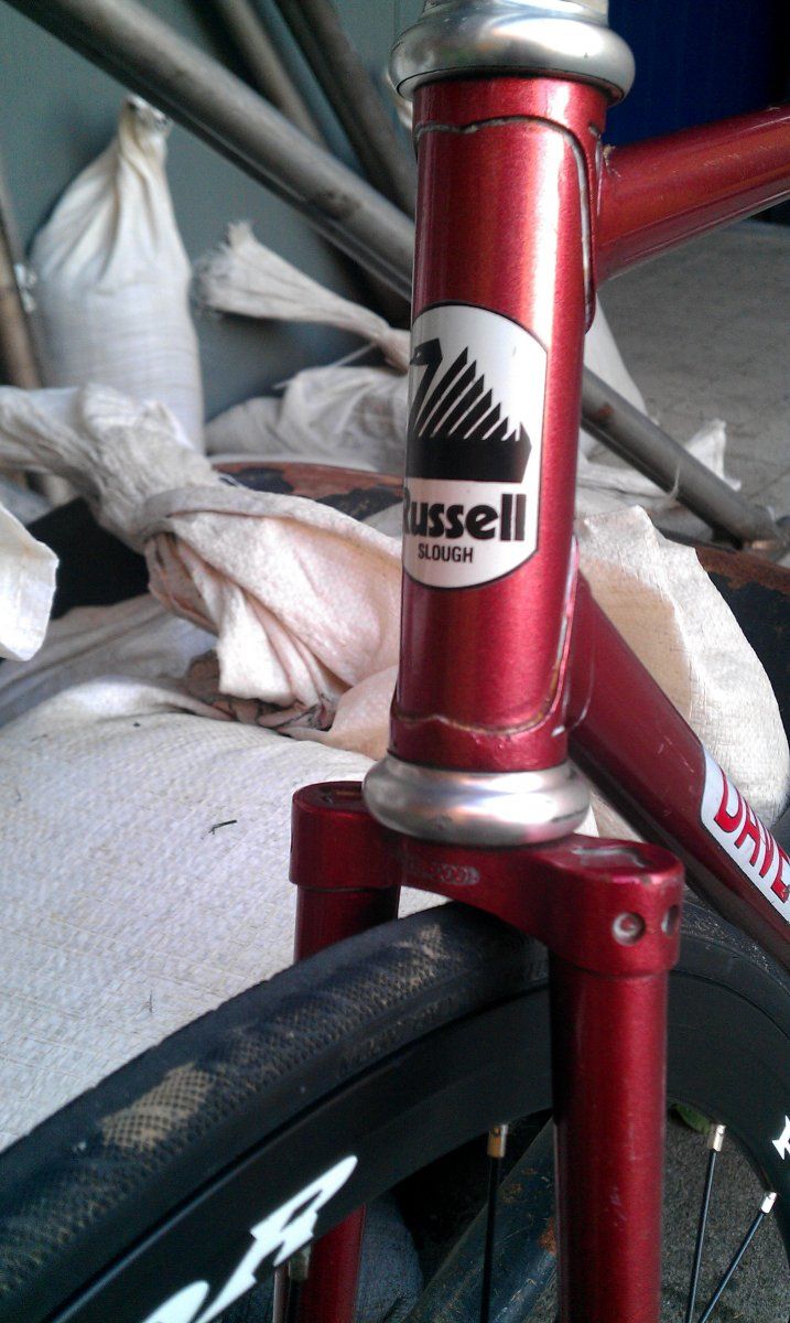IMAG0445.jpg