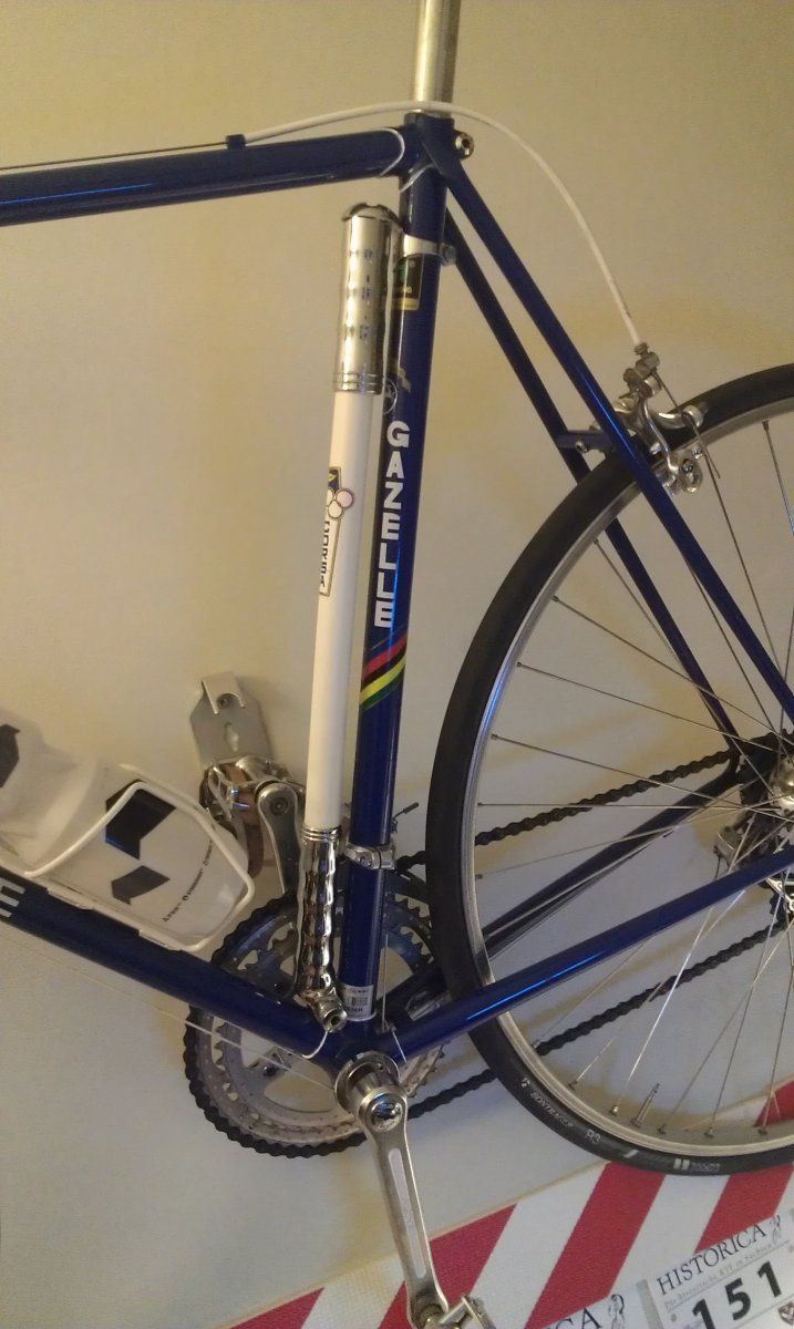 IMAG0449.jpg
