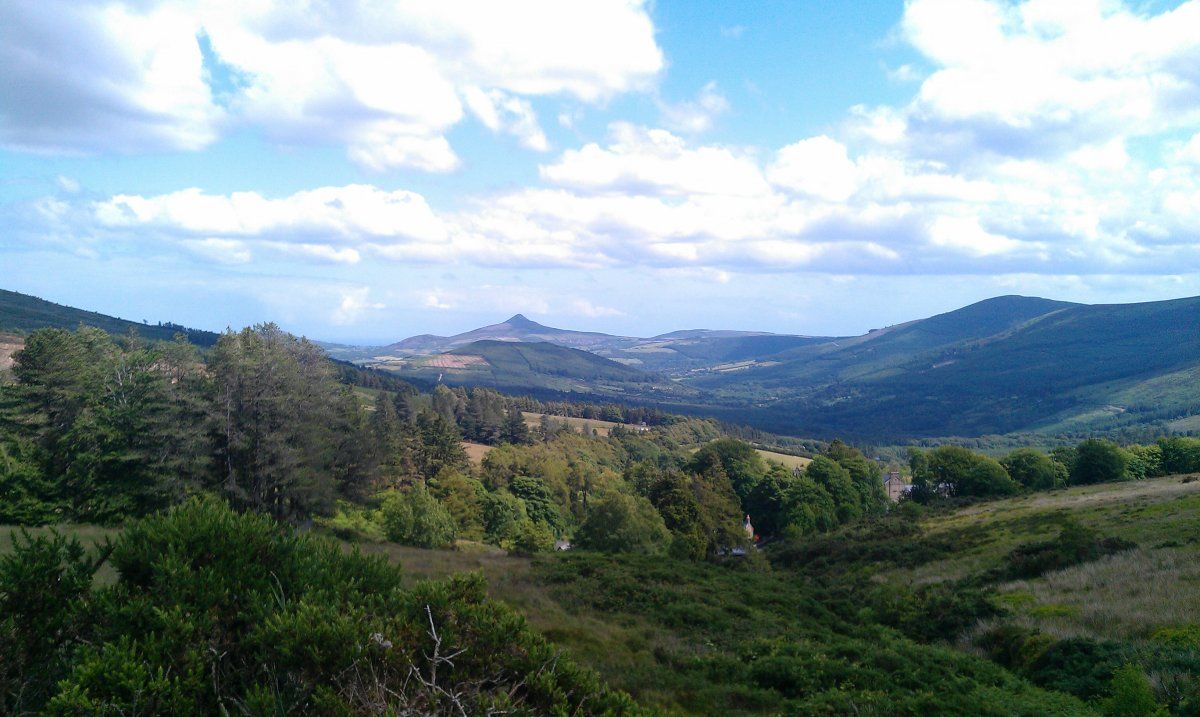 IMAG0537.jpg