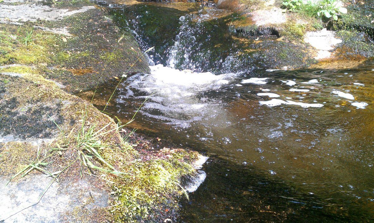 IMAG0567.jpg
