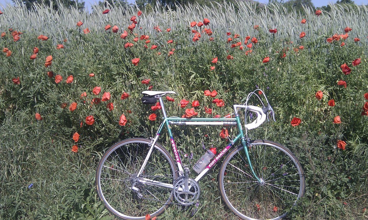IMAG0800.jpg