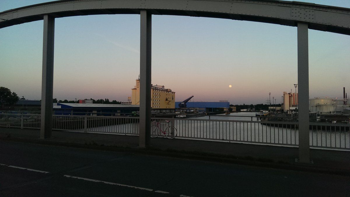 IMAG0960.jpg
