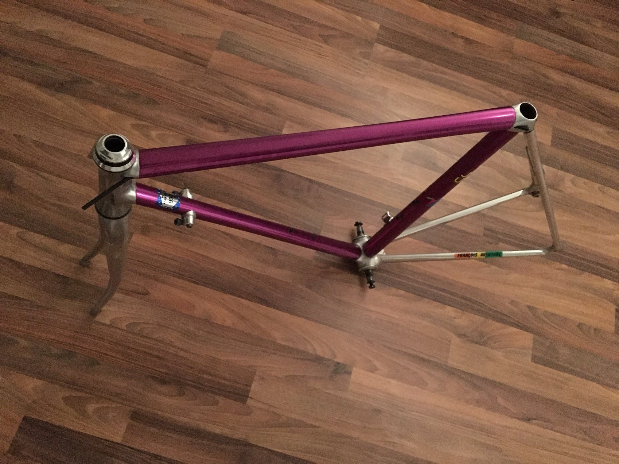 image5.jpeg
