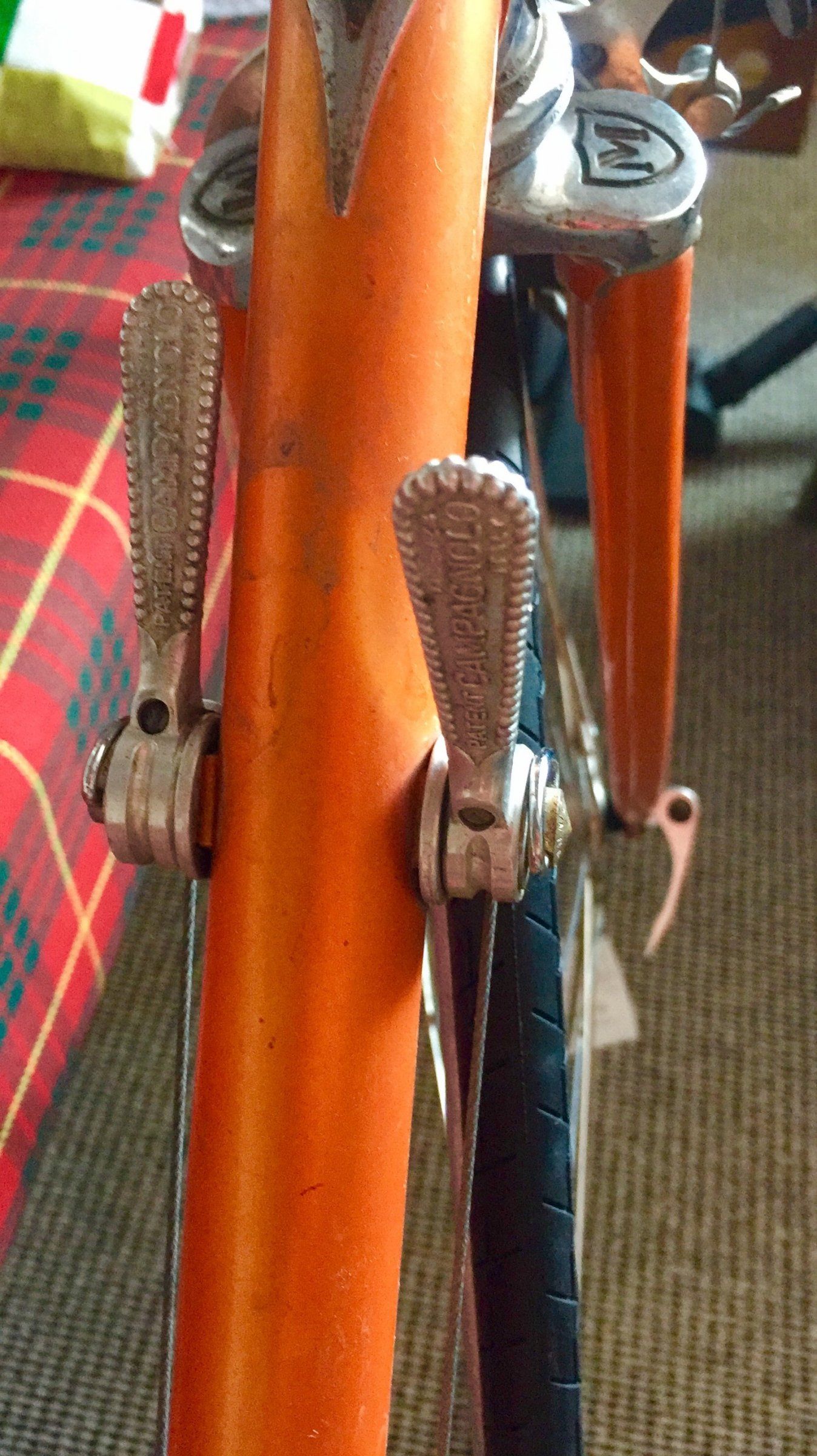 image5.jpeg
