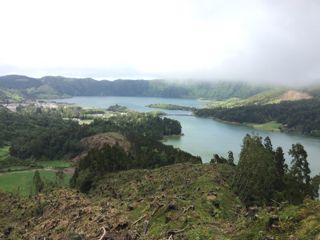 ImageUploadedByTapatalk1430247444.968984.jpg