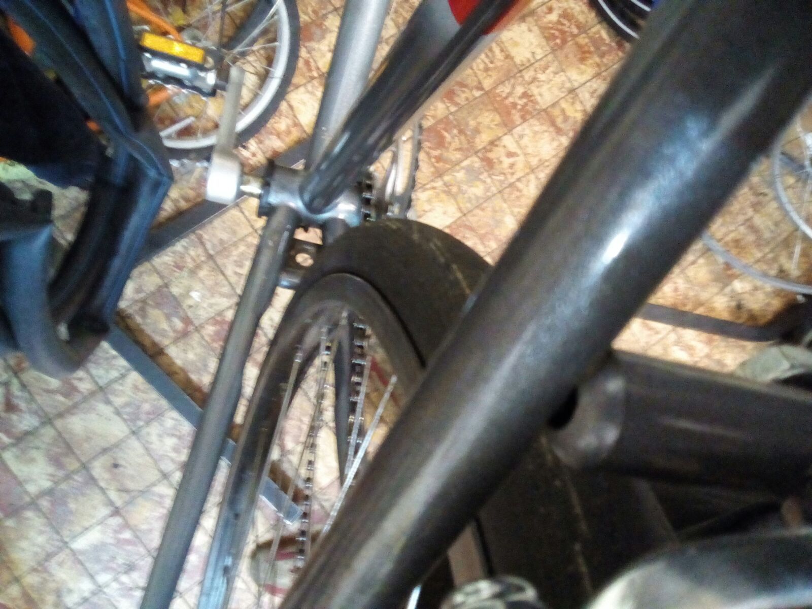 IMG-20170301-WA0007.jpg