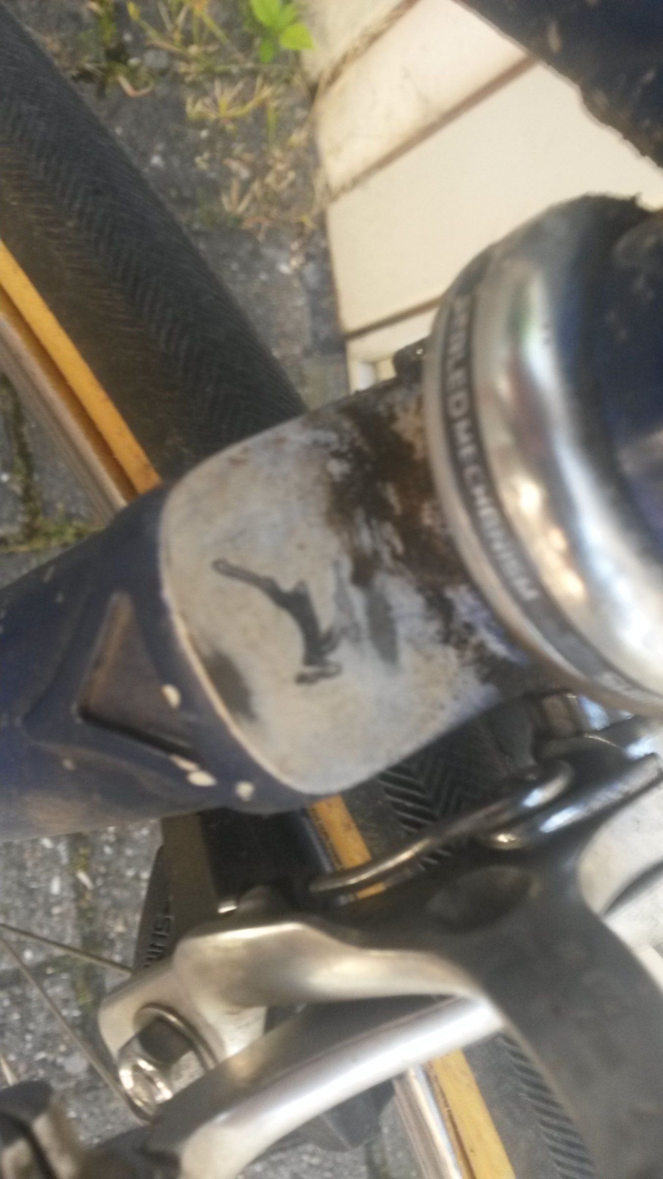 IMG-20170527-WA0021.jpeg