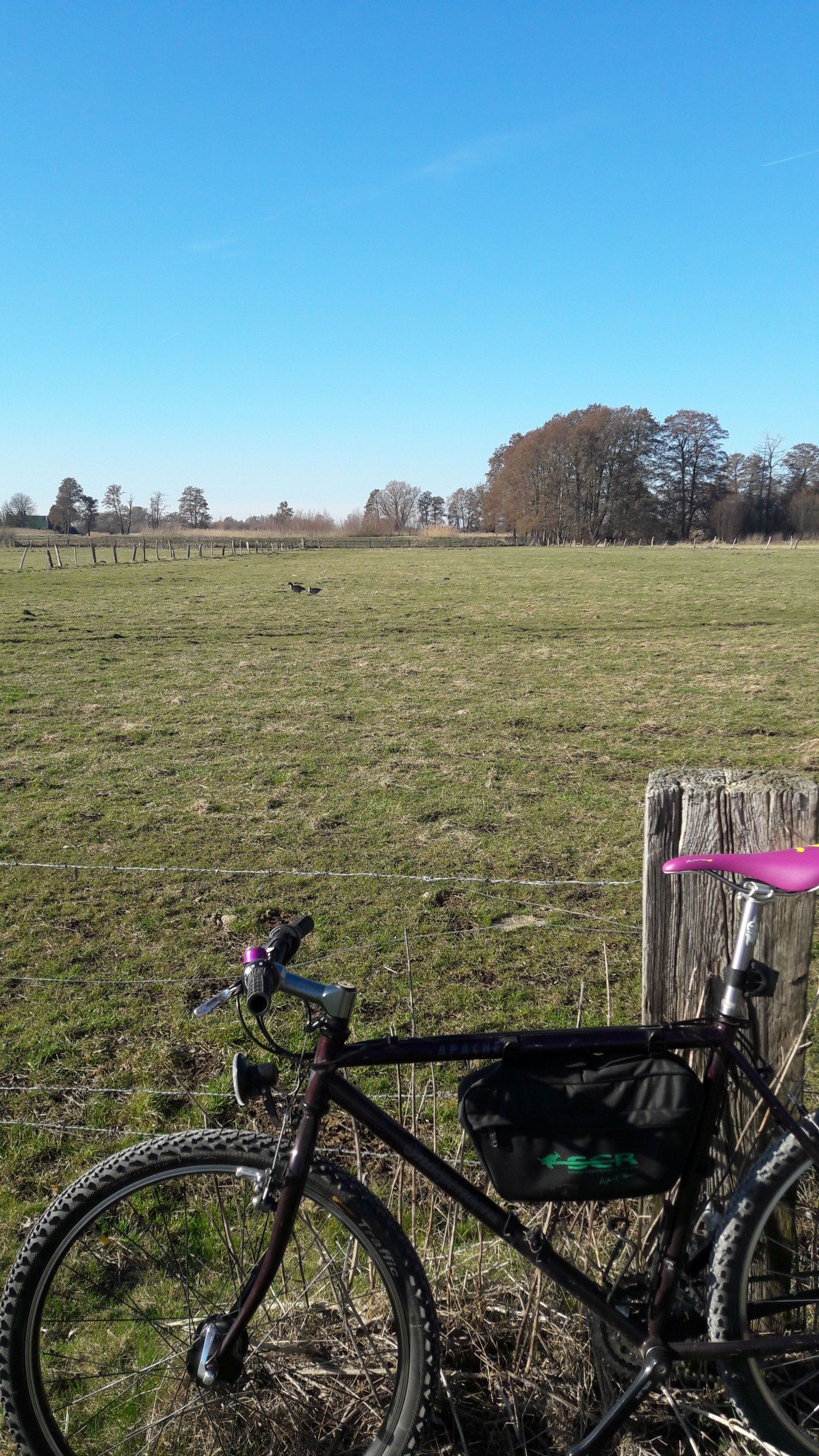 IMG-20190224-WA0011.jpeg