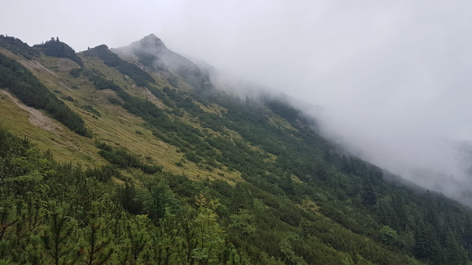 IMG-20190907-WA0020.jpeg