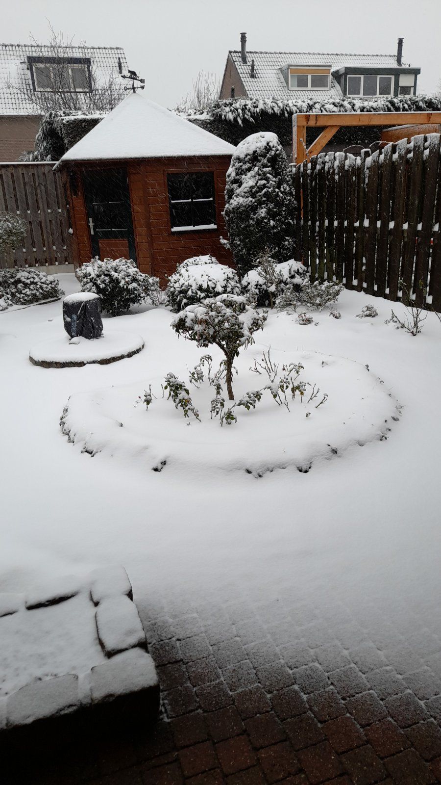 IMG-20210207-WA0001.jpeg