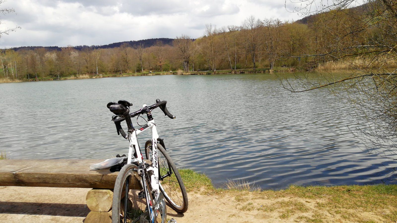 IMG-20210415-WA0002.jpeg