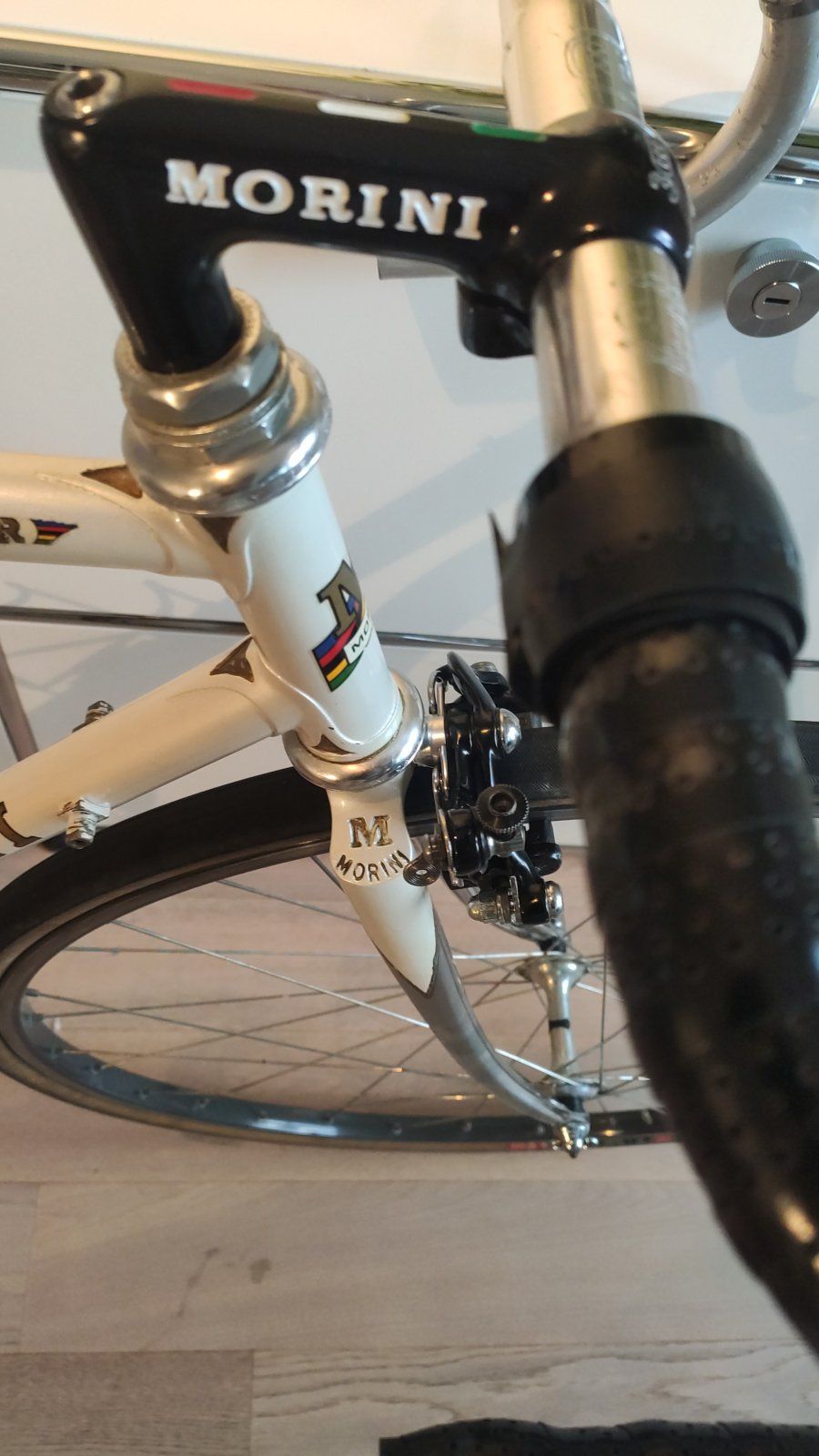 IMG-20210919-WA0056.jpeg