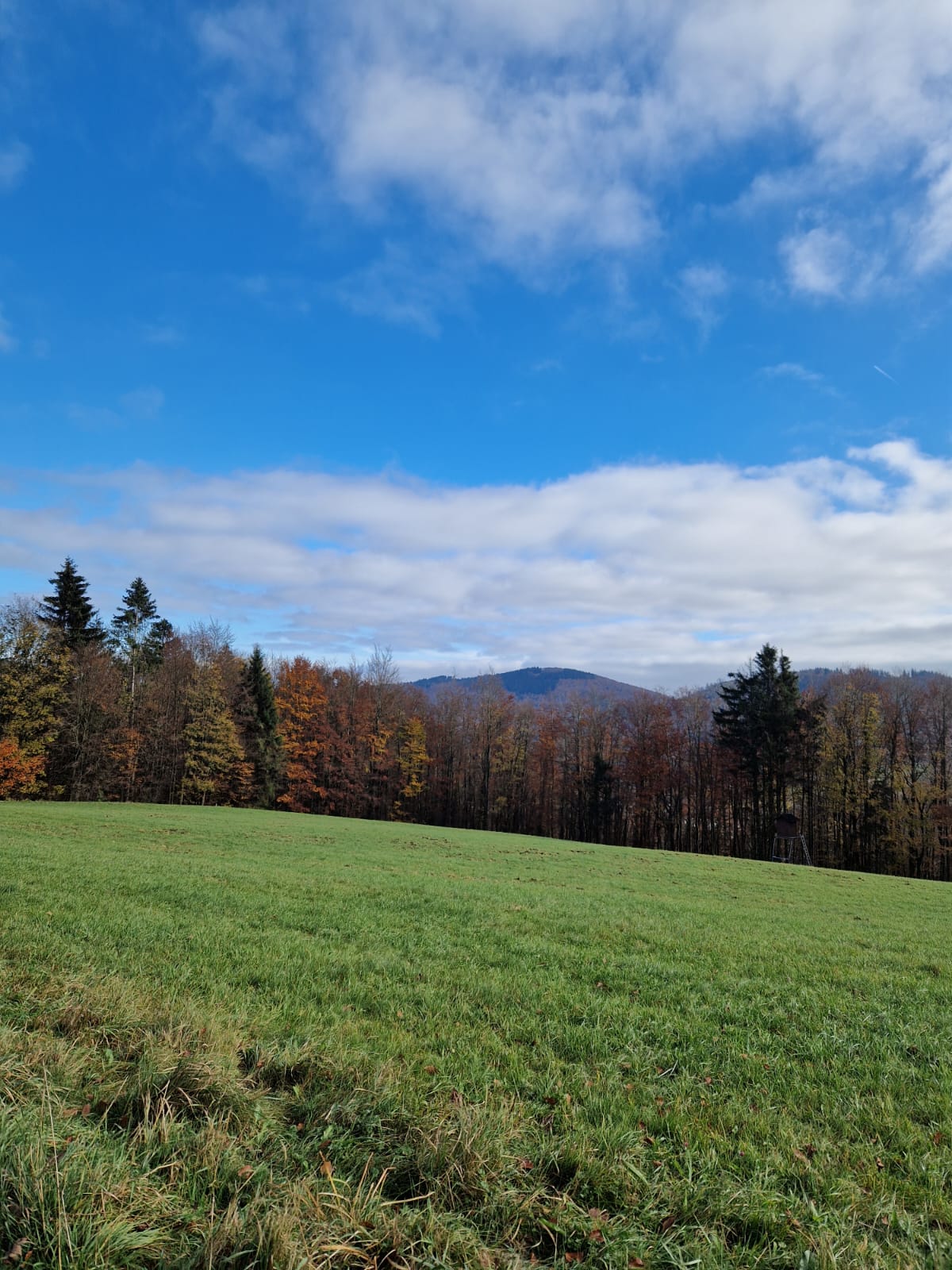 IMG-20241031-WA0004.jpg