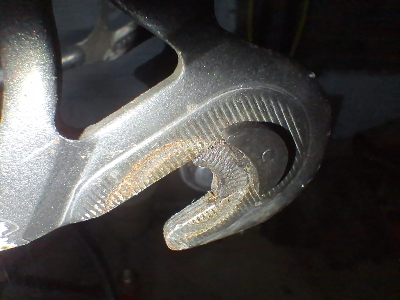 IMG-20250921-WA0000.jpg