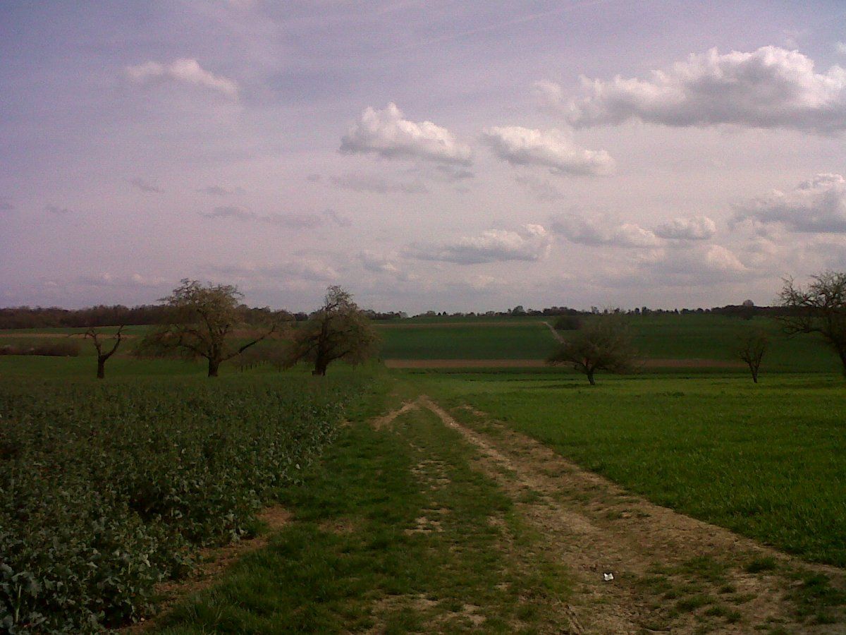 IMG00354-20150413-1612.jpg