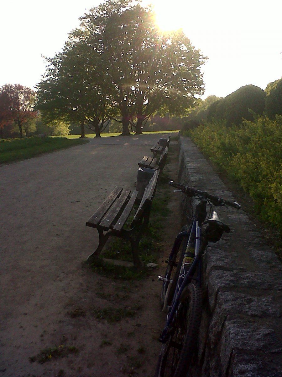 IMG00376-20150422-1856.jpg