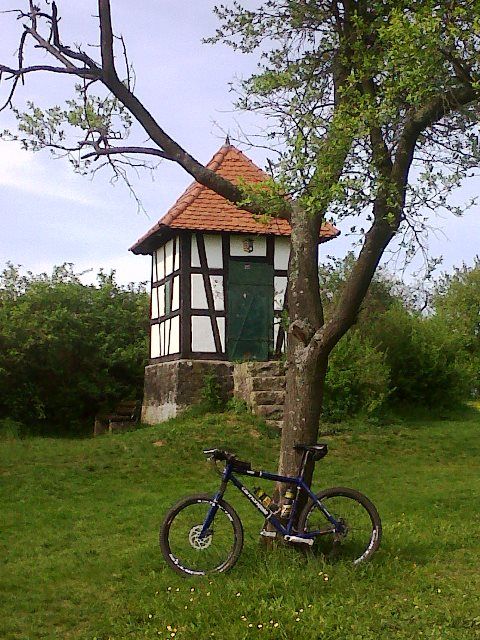 IMG00399-20150426-1628.jpg