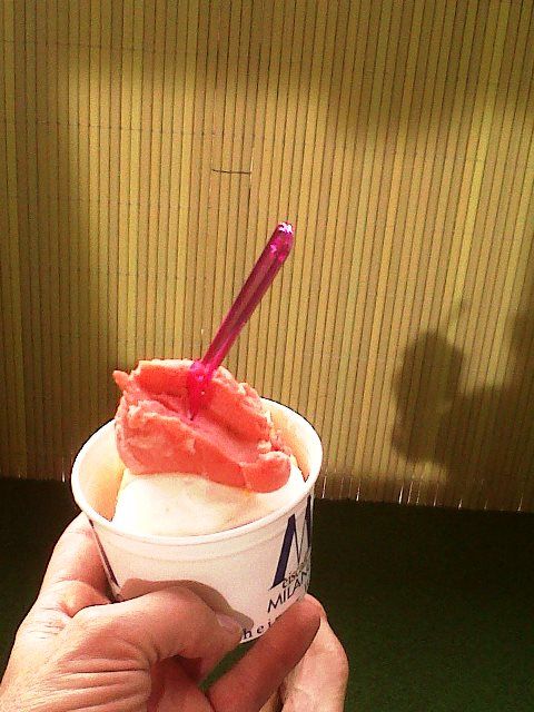 IMG00400-20150426-1804.jpg