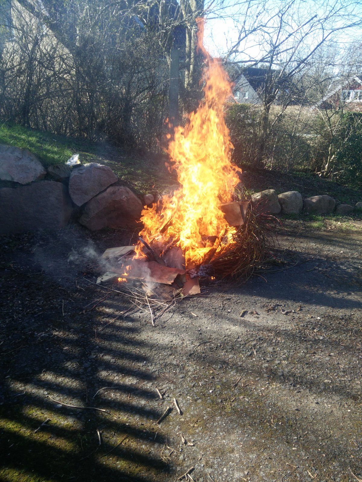IMG20200314140759.jpg