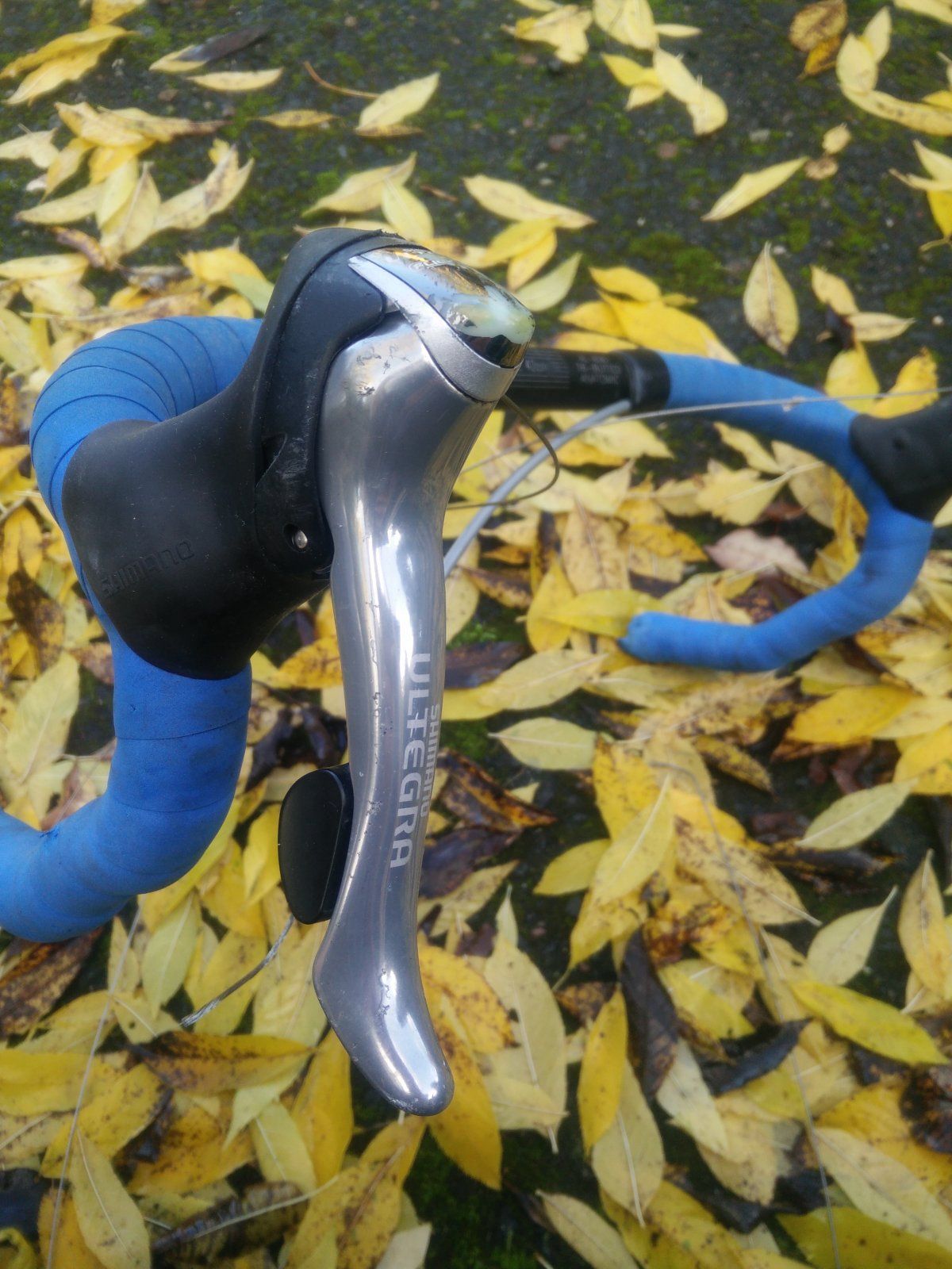 IMG20201031102214.jpg