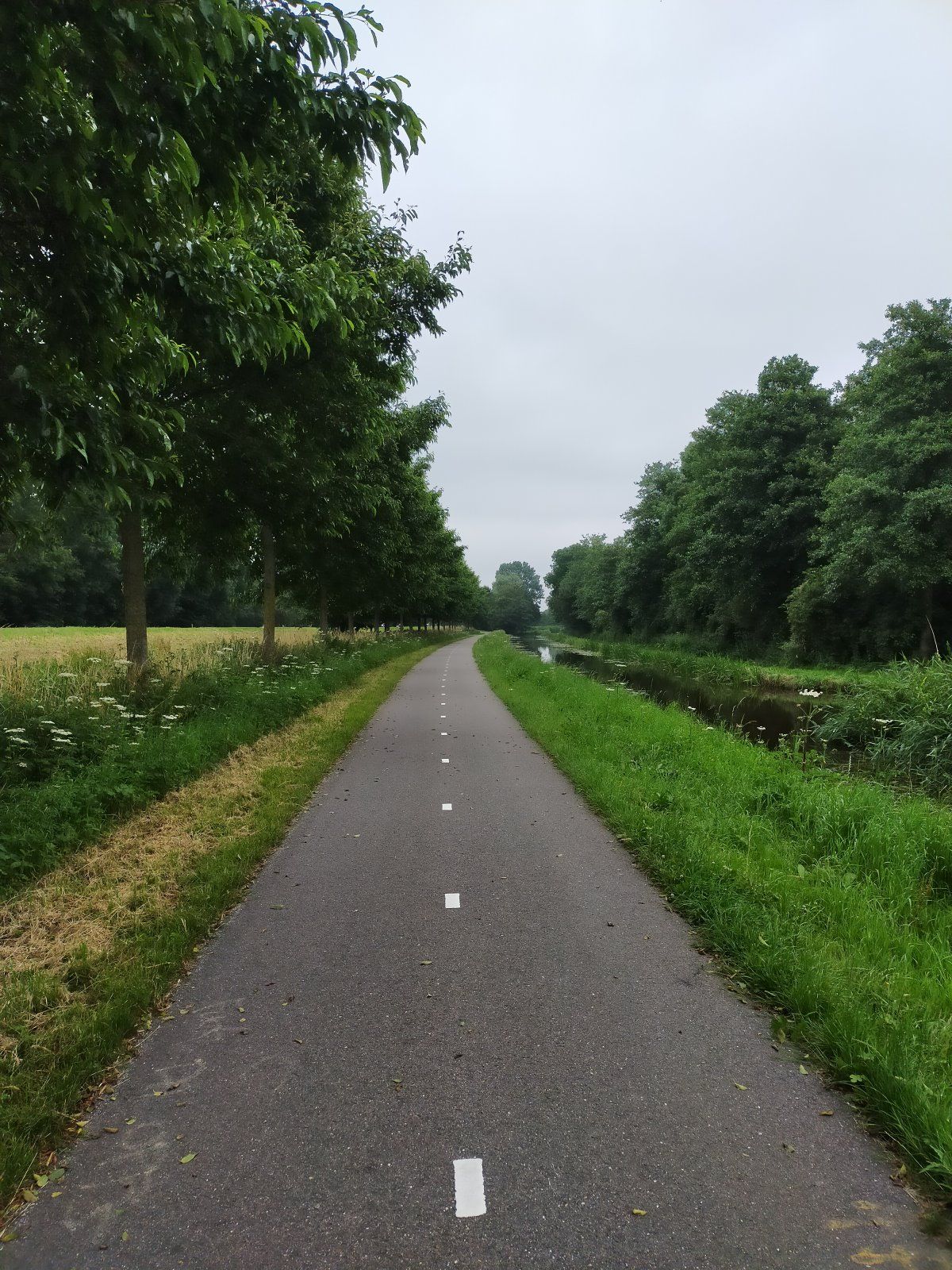 IMG20210713125249.jpg
