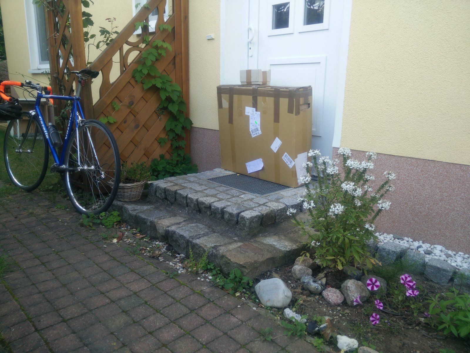 IMG20210819171427.jpg