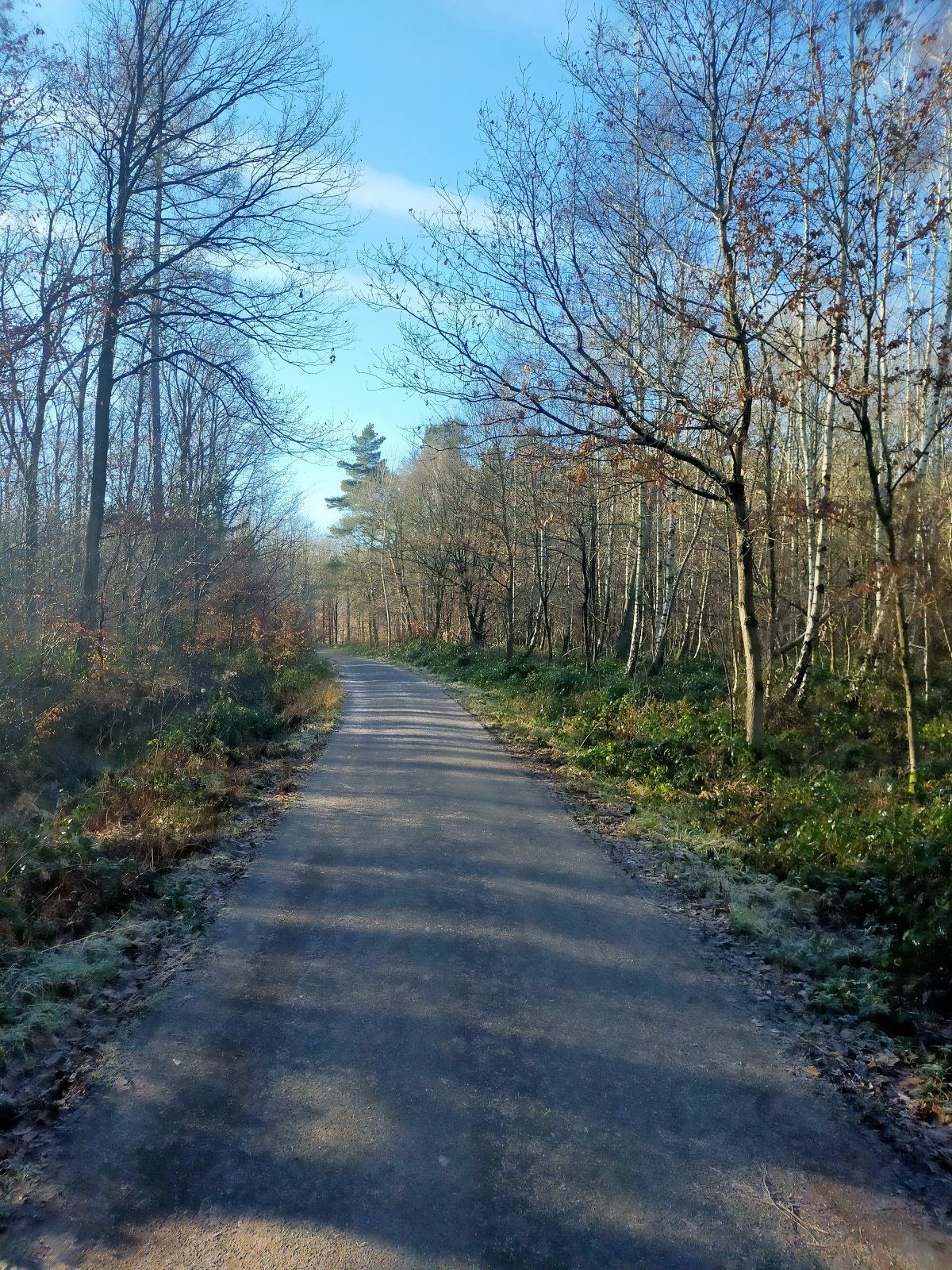 IMG20220114123417.jpg