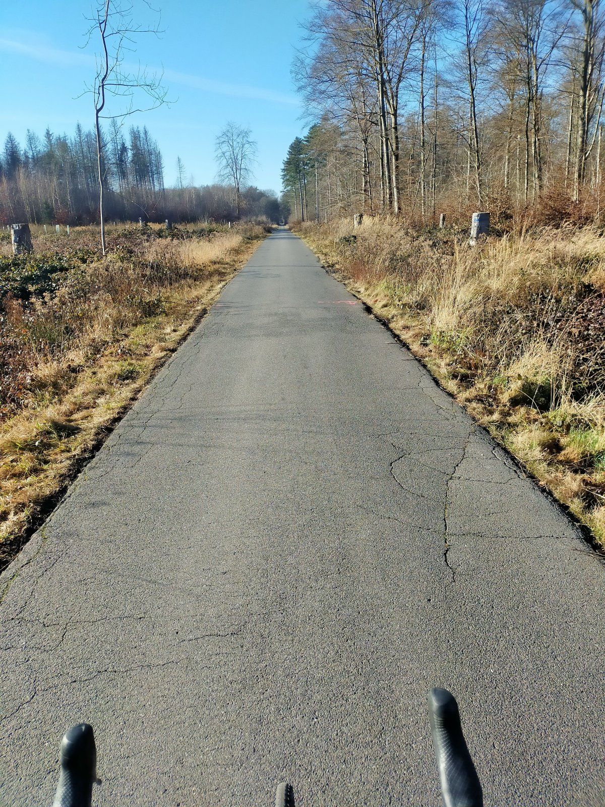 IMG20220114123923.jpg