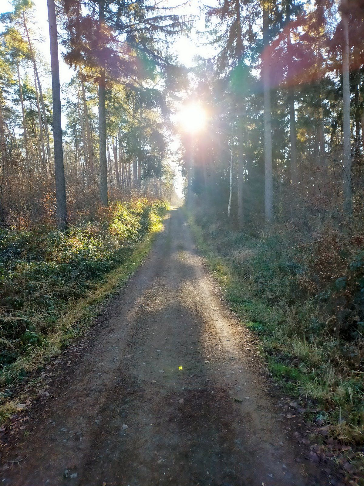 IMG20220114132924.jpg