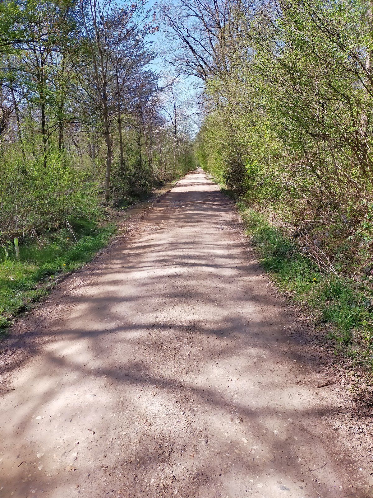 IMG20220416142640.jpg